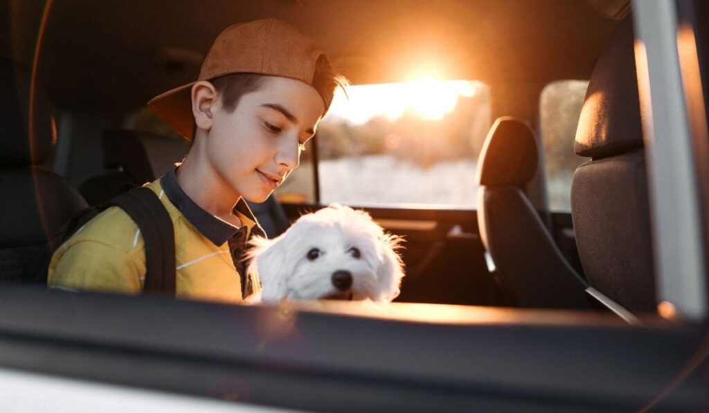 boy passenger in a car back seat