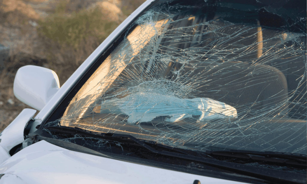 what to do after a car accident